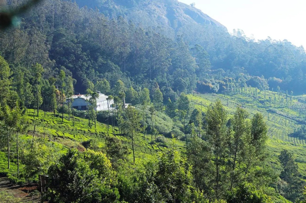 Logan Camp Ooty