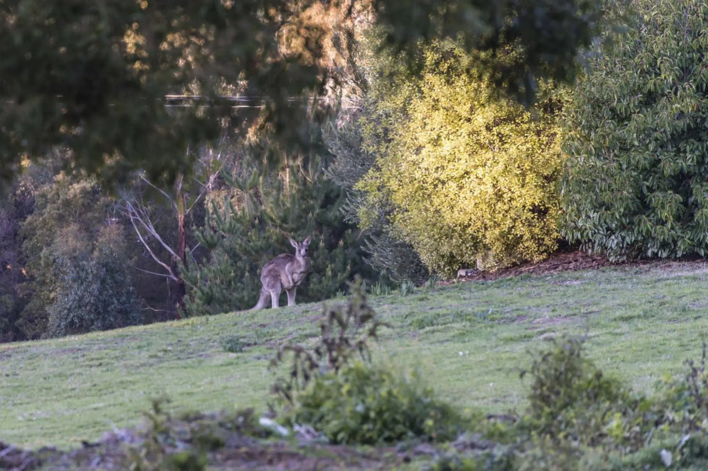 Macedon Ranges Hotel & Spa