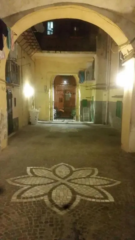 Il Volo del Gabbiano