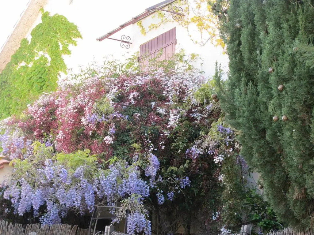 casa-tena-Sorede