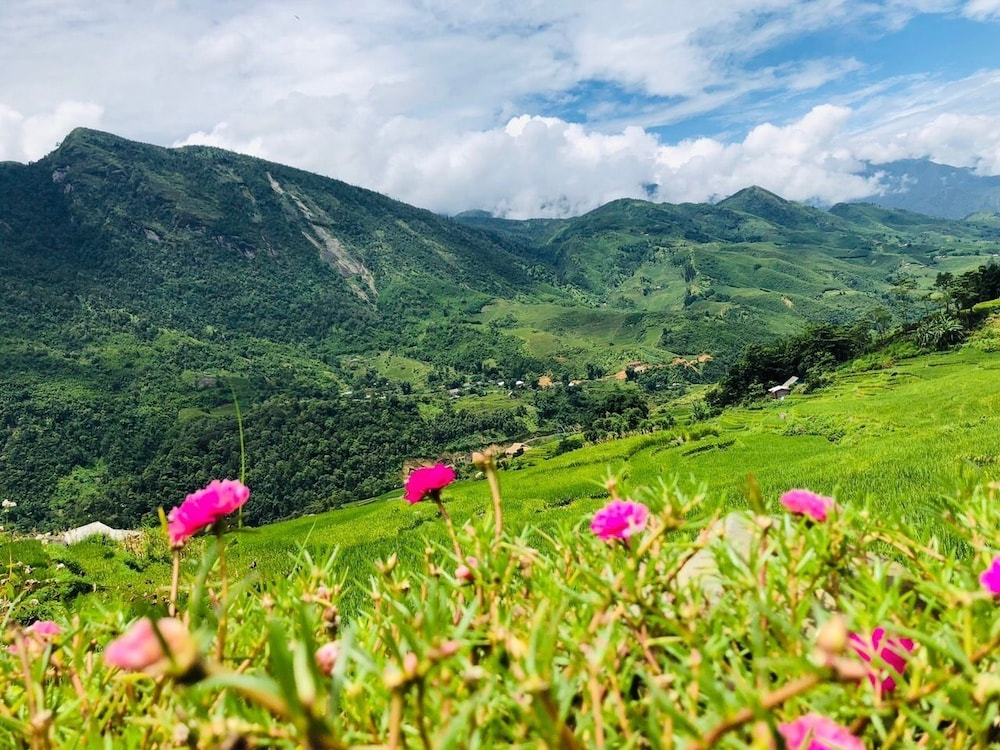 Peace Home Sapa