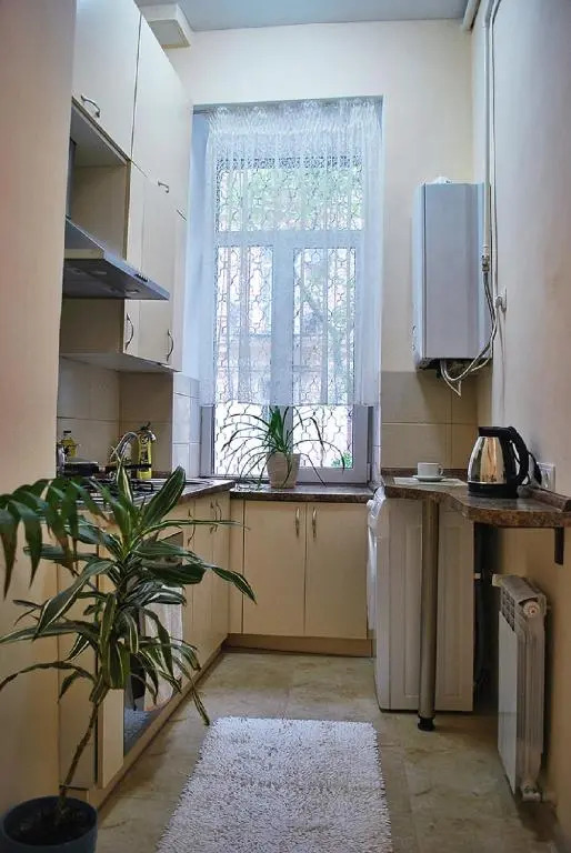 Classic Apartment on Zhukovskoho