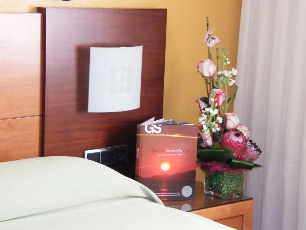 Hotel Virgen del Camino Pontevedra