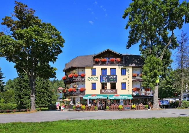 David Hotel Pension