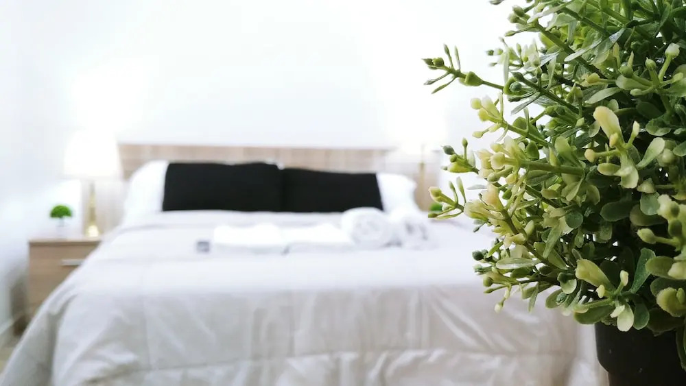 Luxury Flat Lavapies