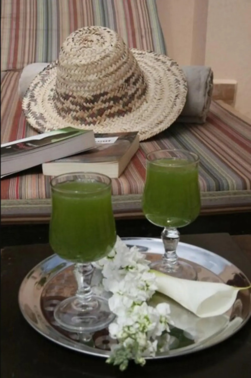 Riad Dar Chadia