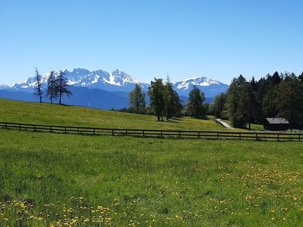 Villa Maier B&B & Apartments