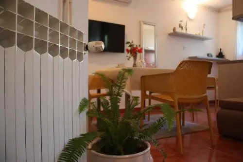 Apartmani Tanita
