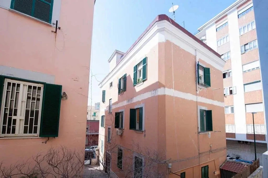 Cammarano 12