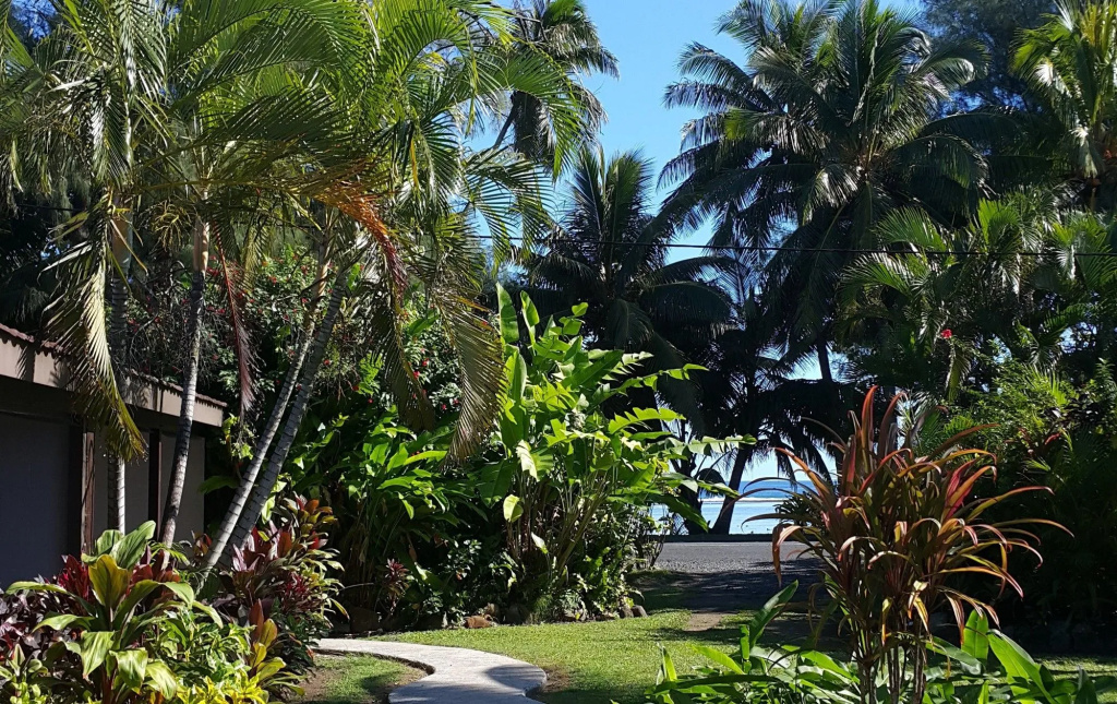 The Black Pearl Beachside Apartments
