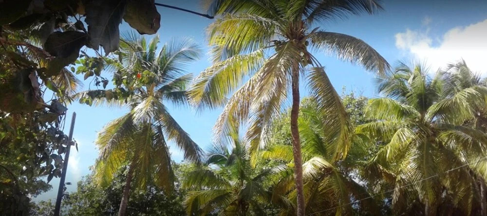 Studio In Le Gosier With Furnished Garden And Wifi 3 Km From The Beach