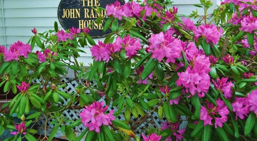The John Randall House