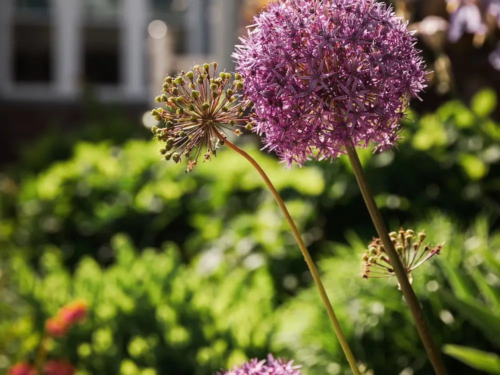 East Bay Bed & Breakfast