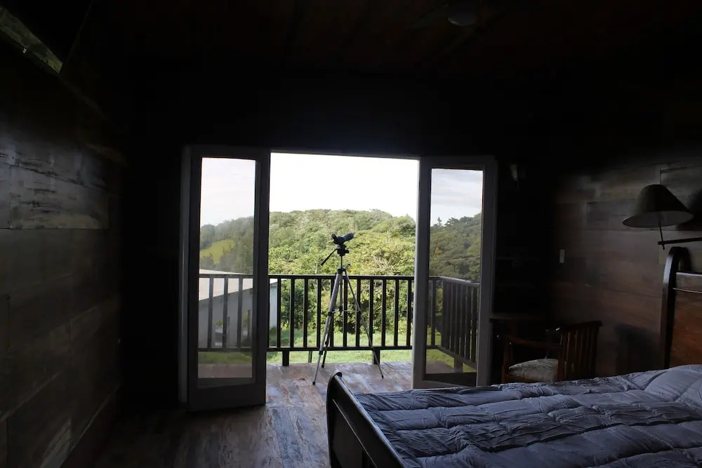 Hotel Bosque Verde Lodge