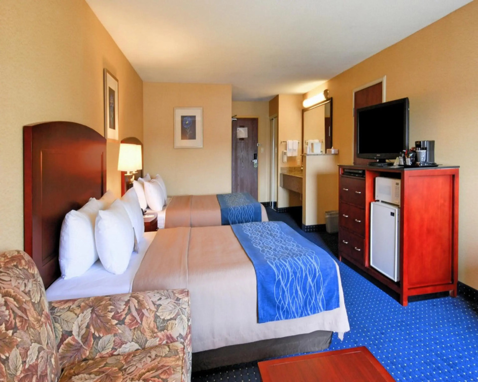Comfort Inn & Suites North East