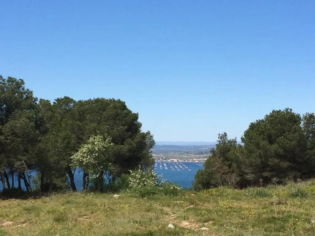 Appartement Sète, 2 pièces, 3 personnes - FR-1-338-396