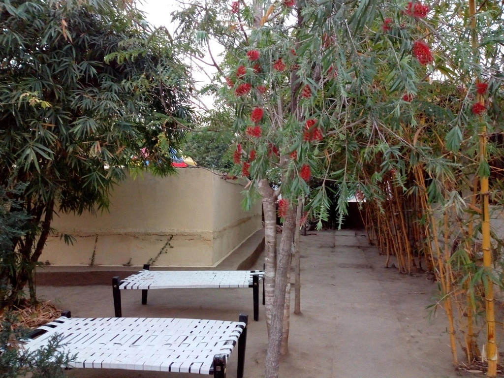 Grand Tiger Resort