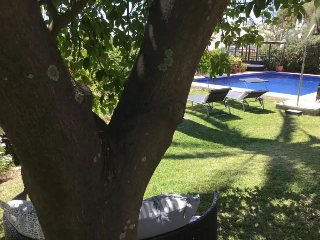 Casares Real