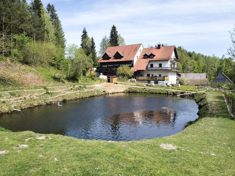 Wohnung in Lindau Nahe Schonsee Wald