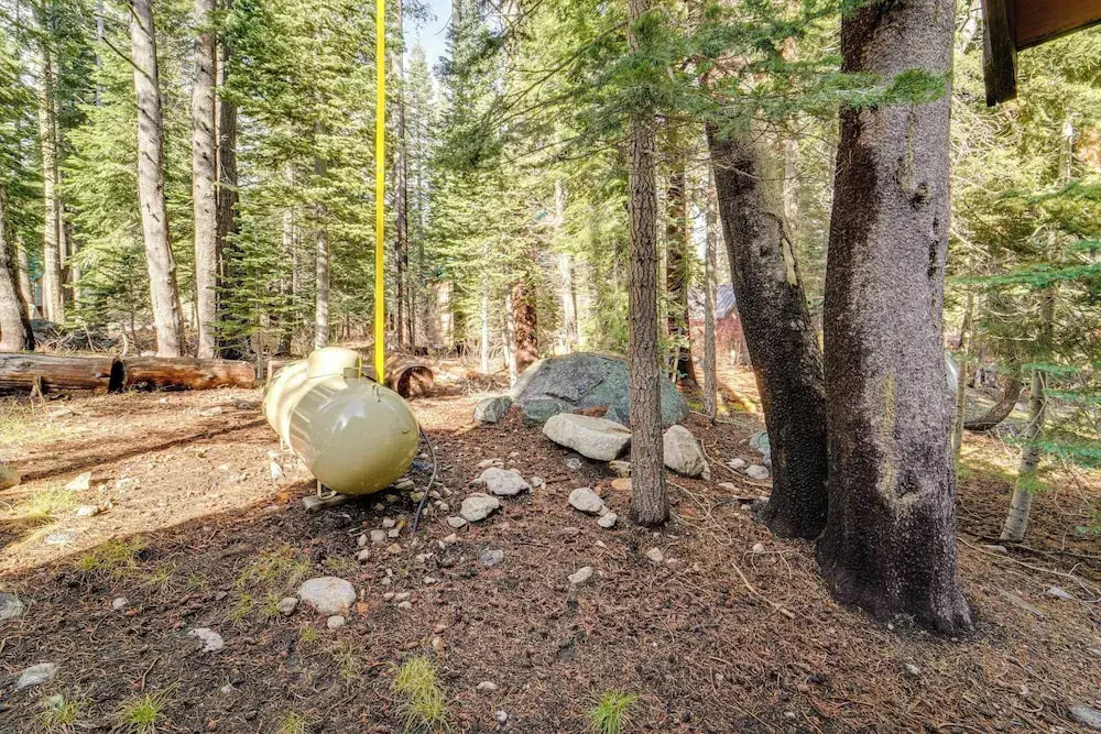 Near Slopes, Donner Lake & Trails! Woodsy Retreat