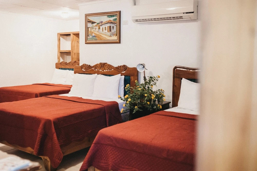 Hotel Javy