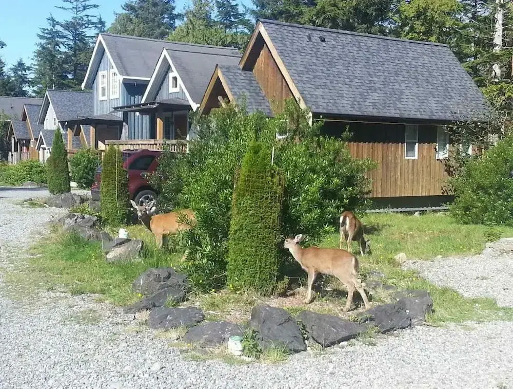 Reef Point Cottages