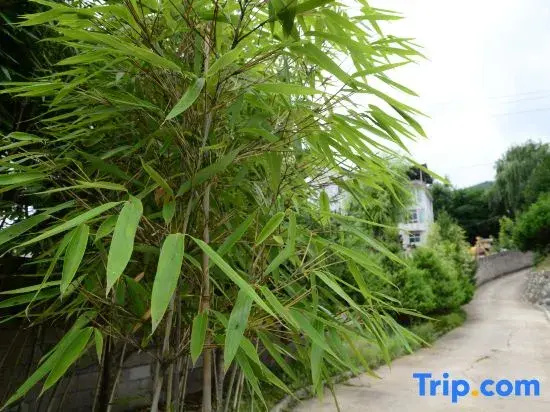 Tianshui Maiji District District Artists‘ home