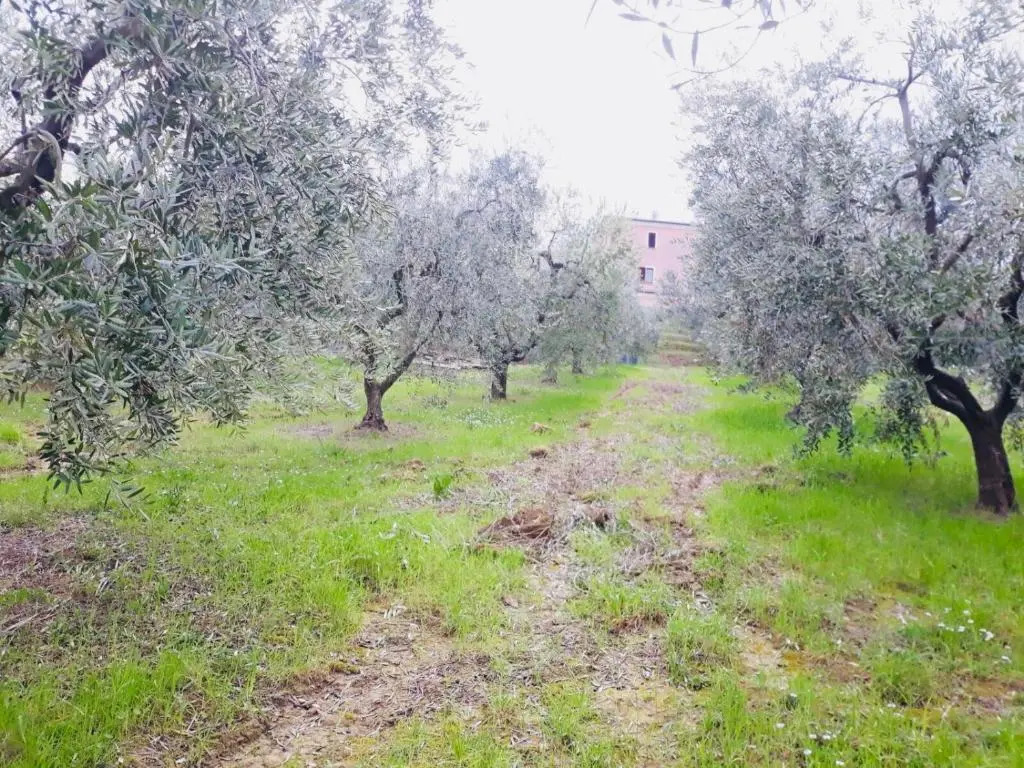 Ellebì B&B