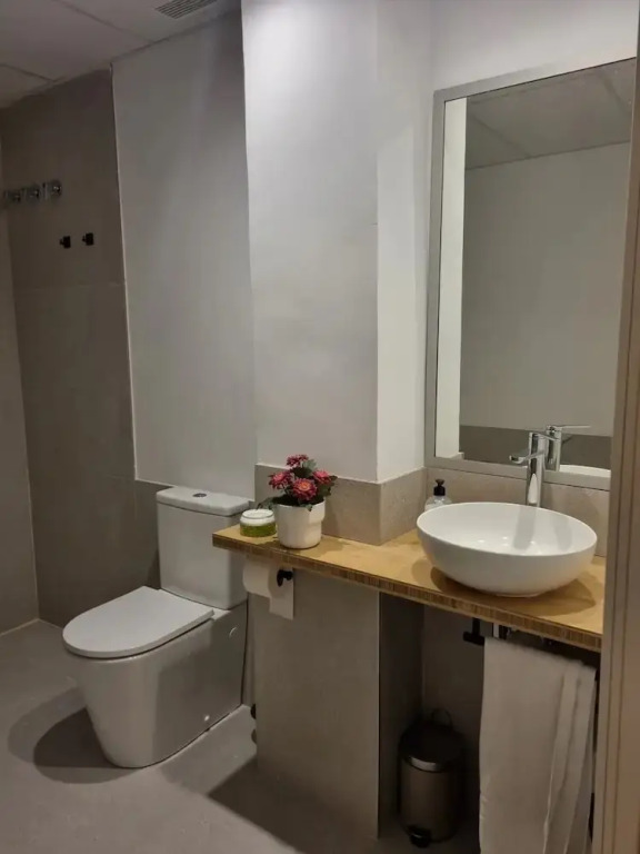 Apartamentos lleo san rius