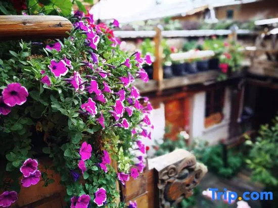 Tibetan-style Courtyard Hotel