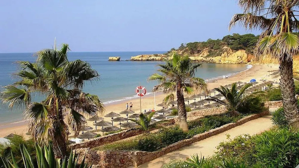 Quinta de Barracuda