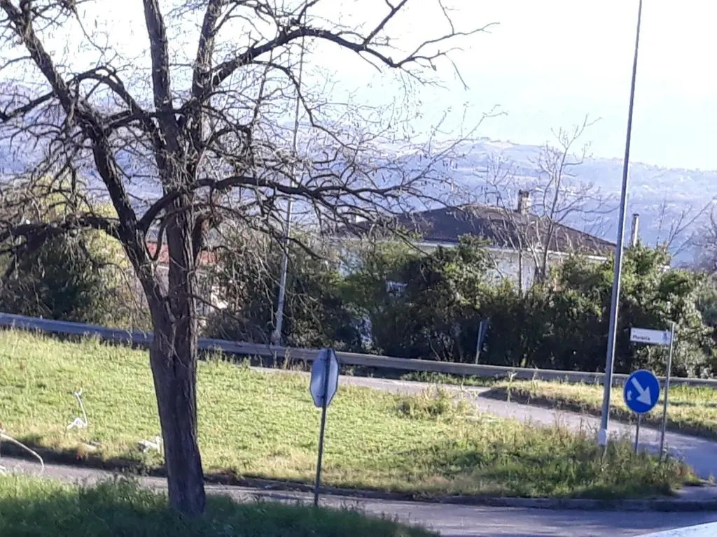 L'ulivo B&b