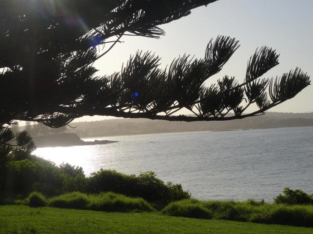 Moorhen Cove