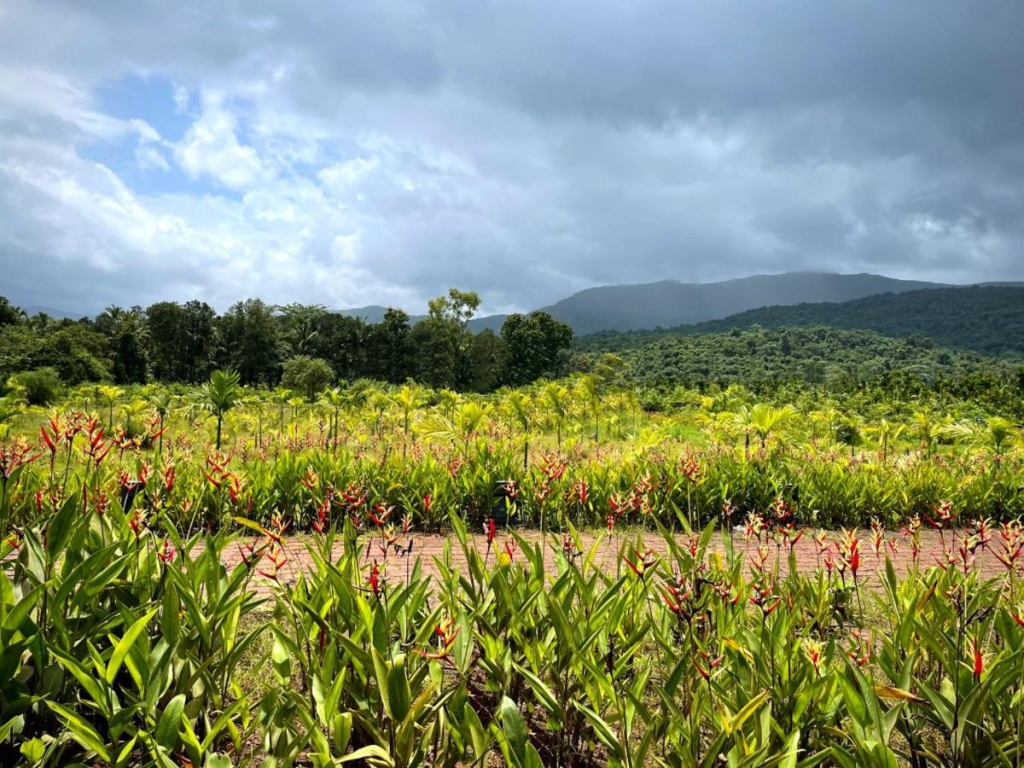 The Postcard Hideaway Netravali Goa