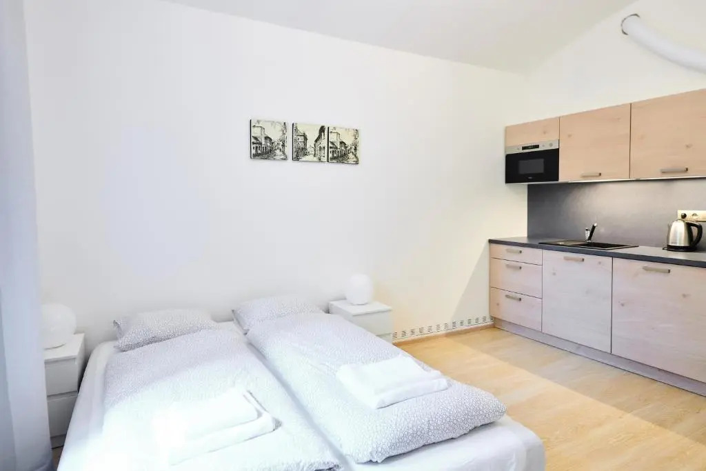 Cute Apartment Zborovska