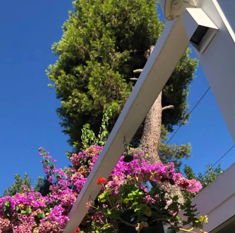 Ascot Hotel Büyükada