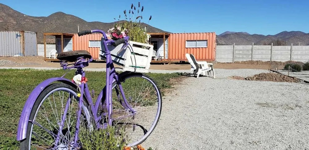 Lavanda del Valle