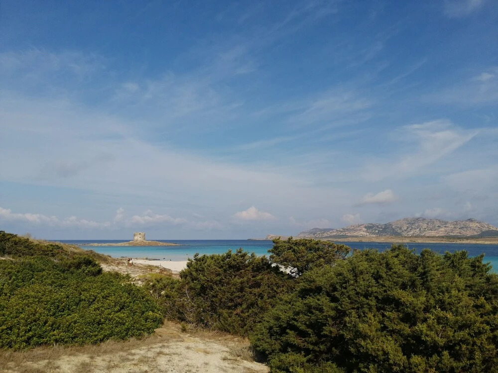 Cala Sabina Appartamento