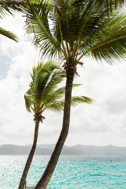 White Bay Villas and Beach Club