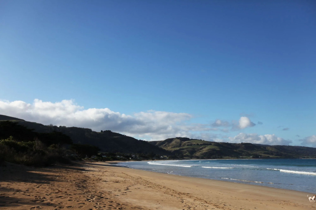 Seaview Motel & Apartments