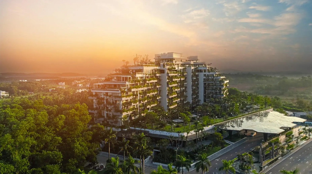 Forest In The Sky - Flamingo Dai Lai
