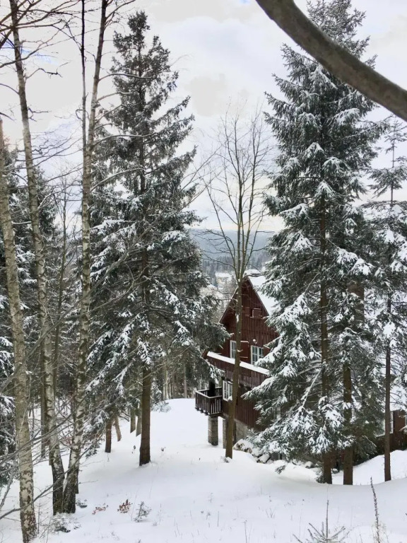 Zielarnia Dom Gościnny - Sauna