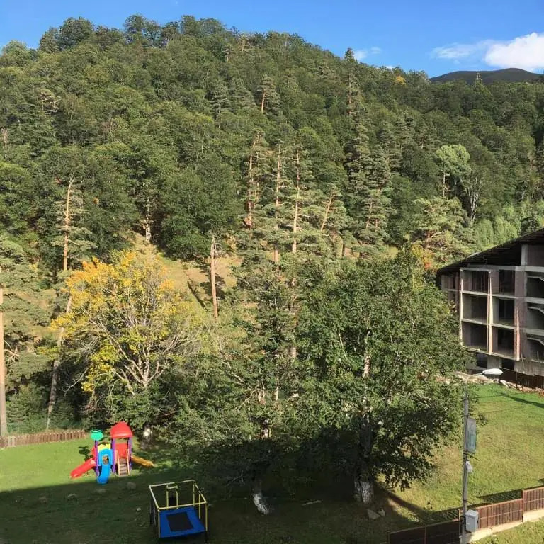 Bakuriani Resort The Valley - Apartment 407