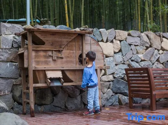 Hangzhou lin an Sees ResiAgain