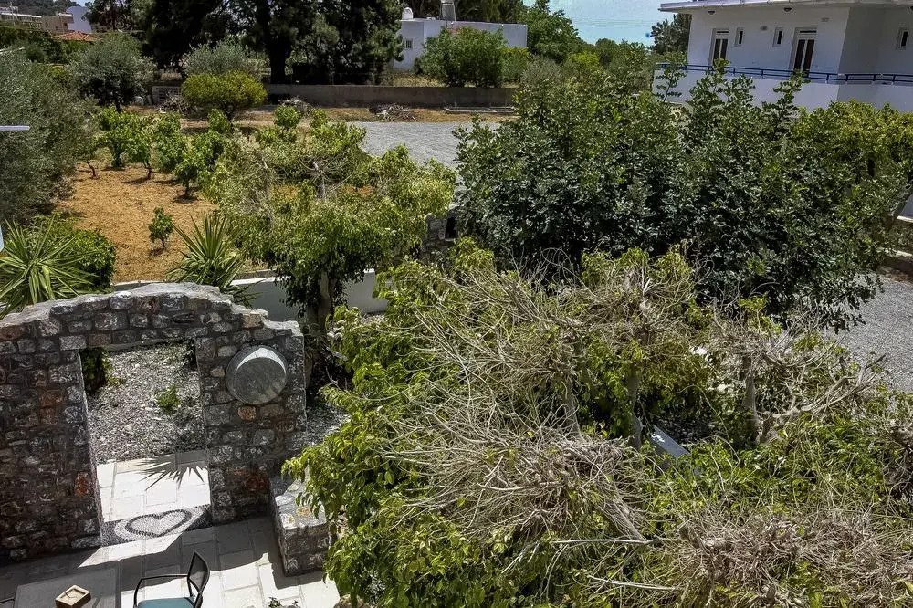 Pefkos Eye