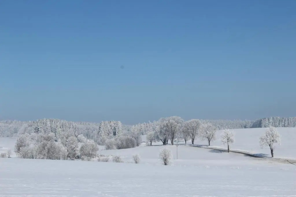 Penzion Fořtovna
