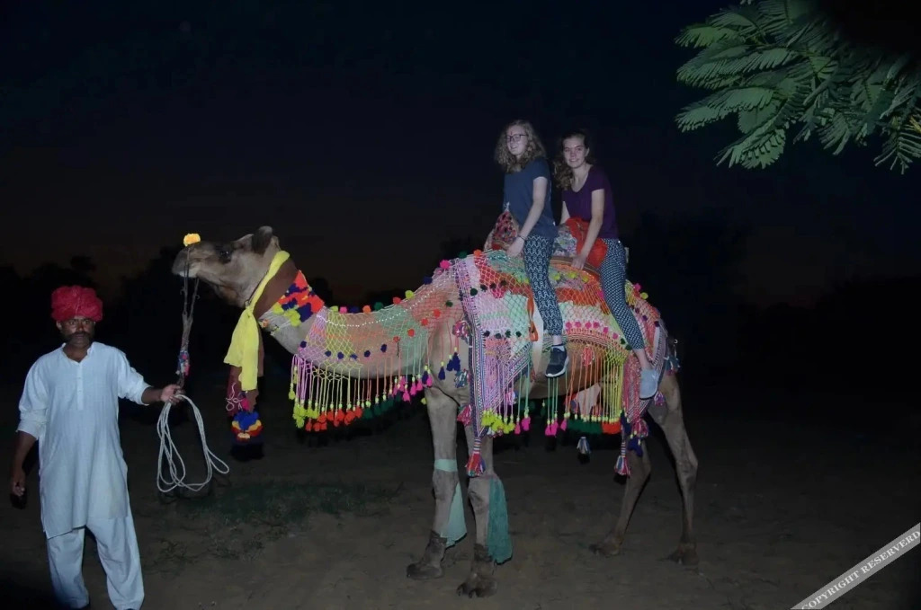 Hotel Desert Raaga