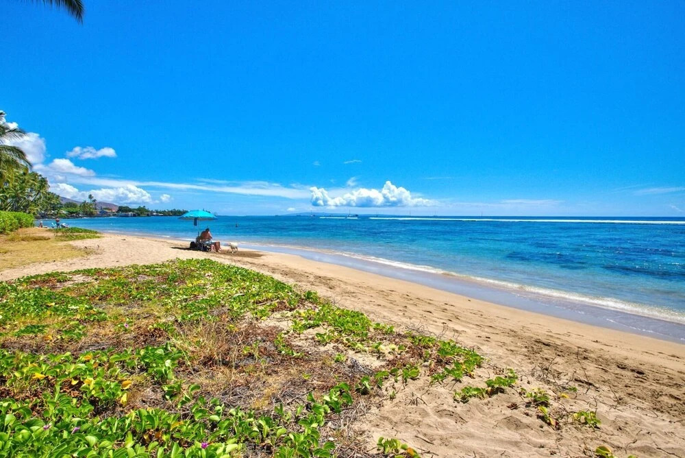 K B M Resorts- Bay-35 Presidential 5bd, 5ba Beach-front Estate, A/c, Private Yard!