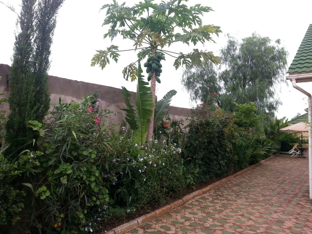 Korona House Hotel