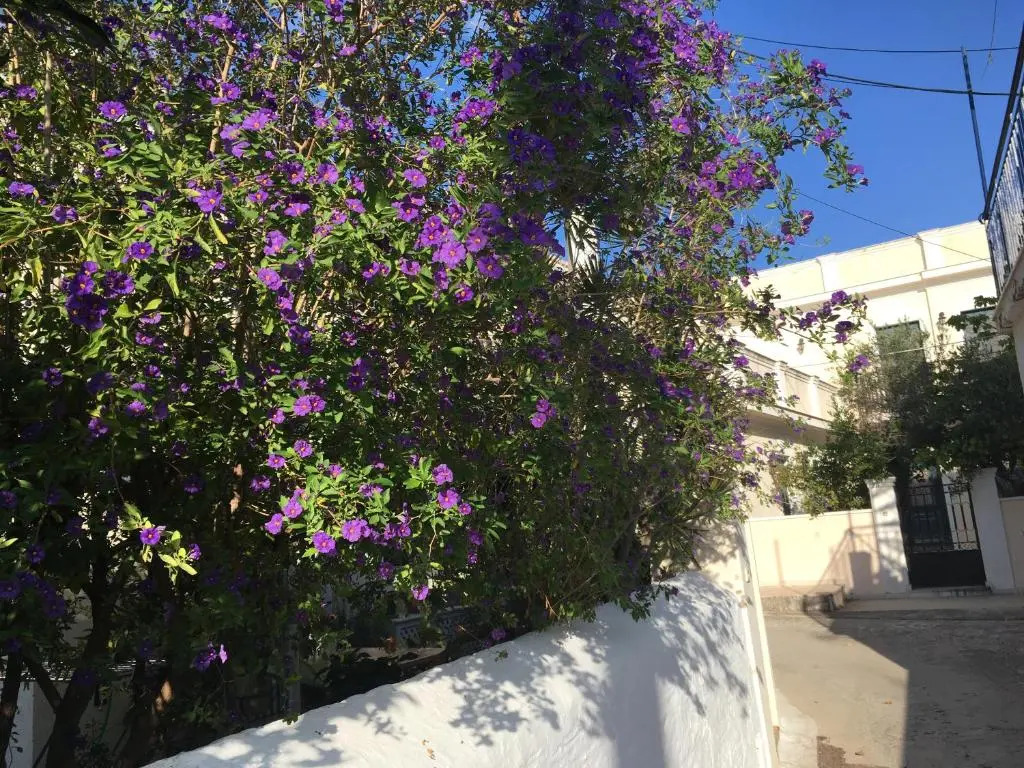 Toula's house 2